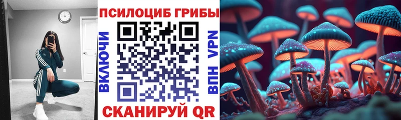 Псилоцибиновые грибы Magic Shrooms  где можно купить   Чебоксары 