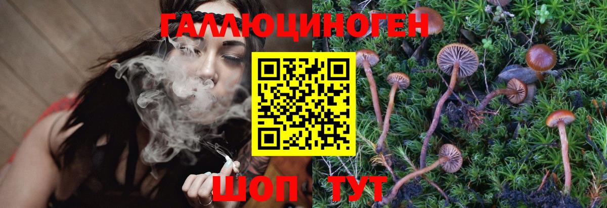 Галлюциногенные грибы Magic Shrooms Чебоксары