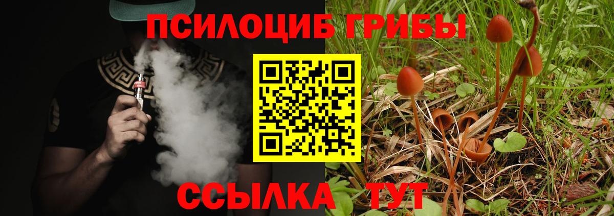 Чебоксары  Псилоцибиновые грибы Cubensis  Вход с VPN  Псилоцибиновые грибы мицелий 